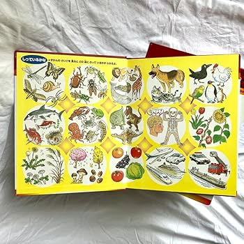 Amazon.co.jp: 学研 こどもベスト図鑑 全16巻セット(CD付 Amazon.co.jp: 学研 こどもベスト図鑑 全16巻セット(CD付